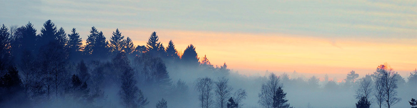 合肥國為電子有限公司